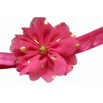 Bellazaara Fushia Pink Gold Polka Dots Large Chiffon Flower headband